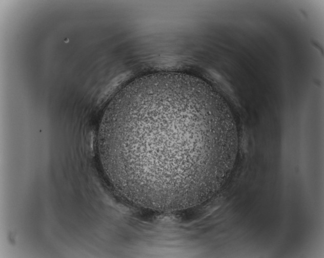 X0000100230115200806061418