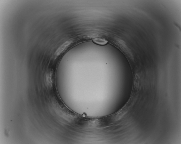 X0000100230116200806061418