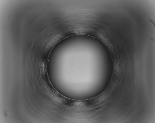 X0000100230117200806061418