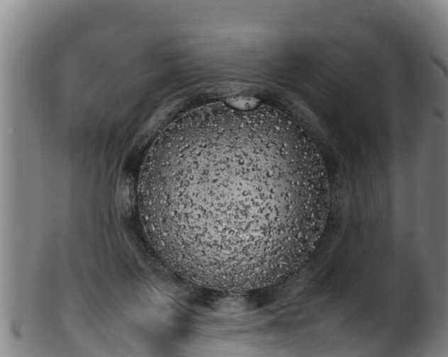 X0000100230119200806061418