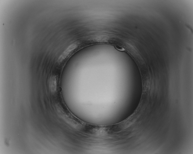 X0000100230120200806061418