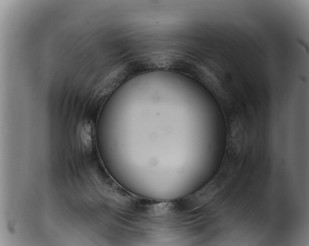 X0000100230122200806061418