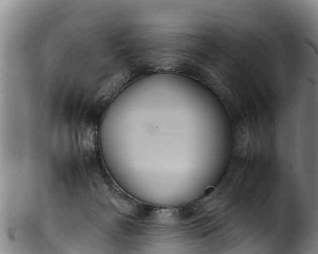 X0000100230126200806061418