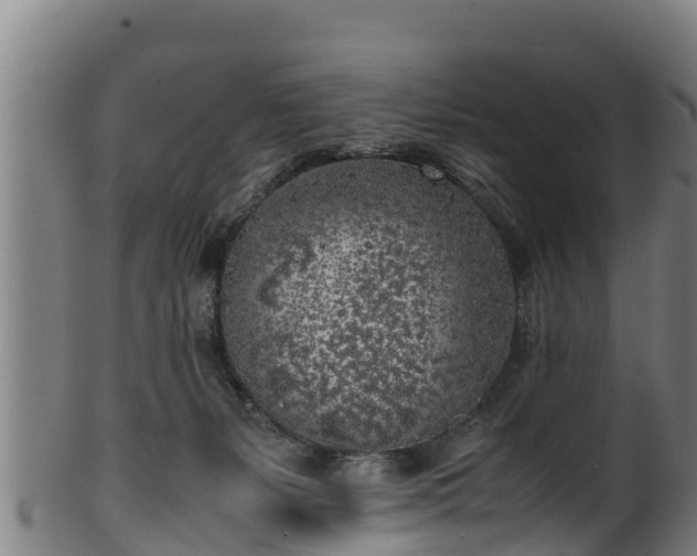 X0000100230127200806061418