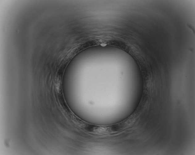 X0000100230129200806061418