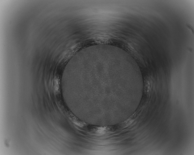 X0000100230130200806061418