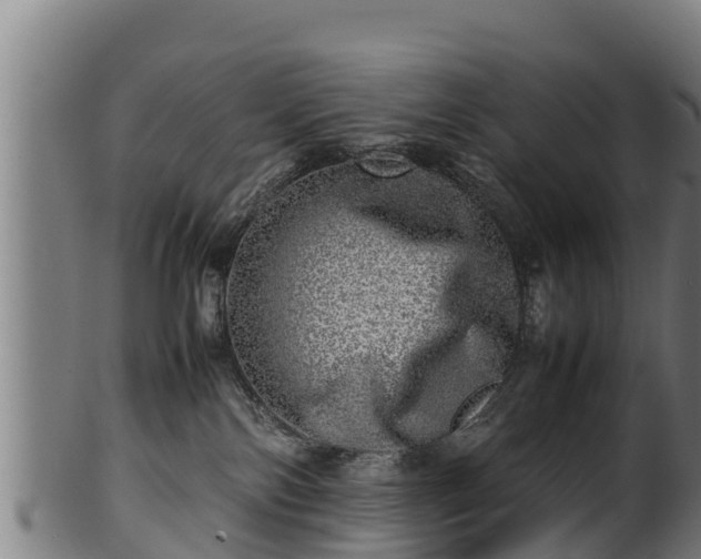 X0000100230138200806061418