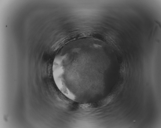 X0000100230139200806061418