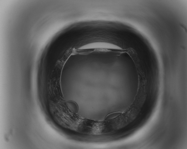 X0000100230143200806061418