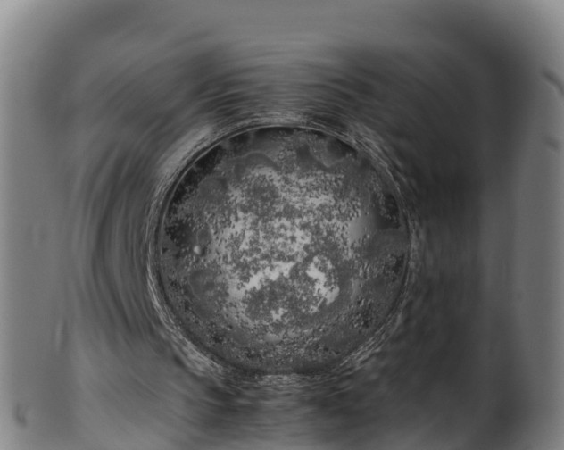 X0000100230145200806061417