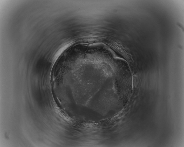 X0000100230147200806061417