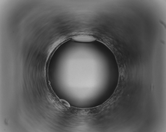 X0000100230148200806061417