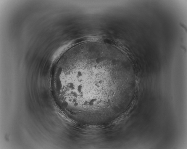 X0000100230149200806061417