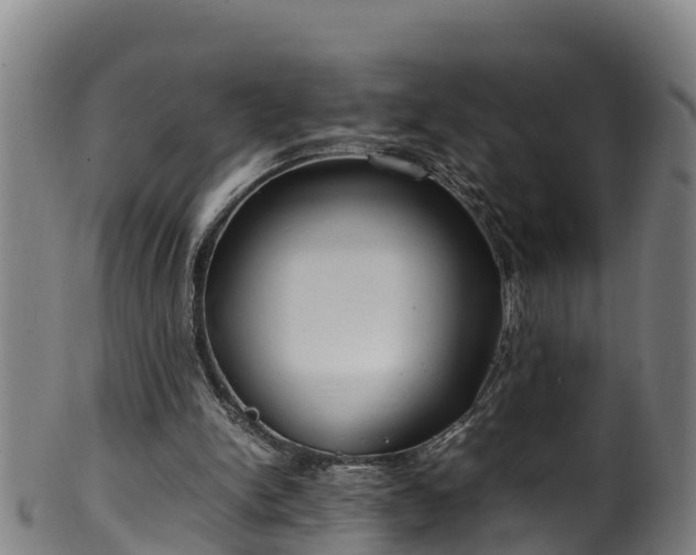 X0000100230150200806061417