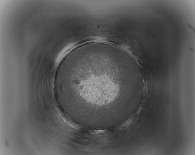 X0000100230151200806061417