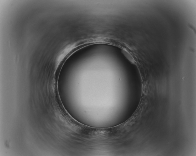 X0000100230152200806061417