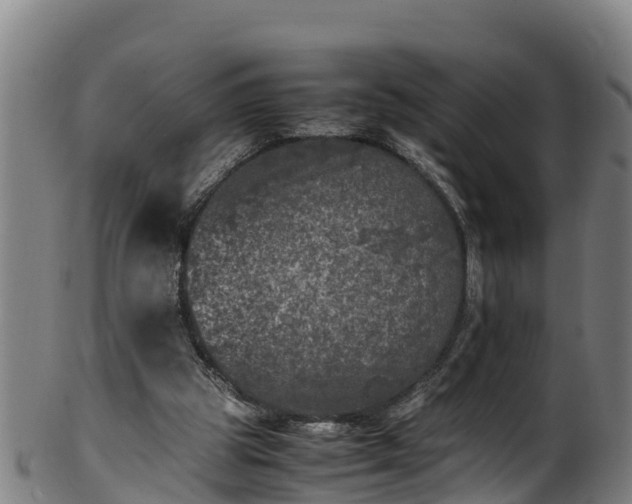 X0000100230153200806061417