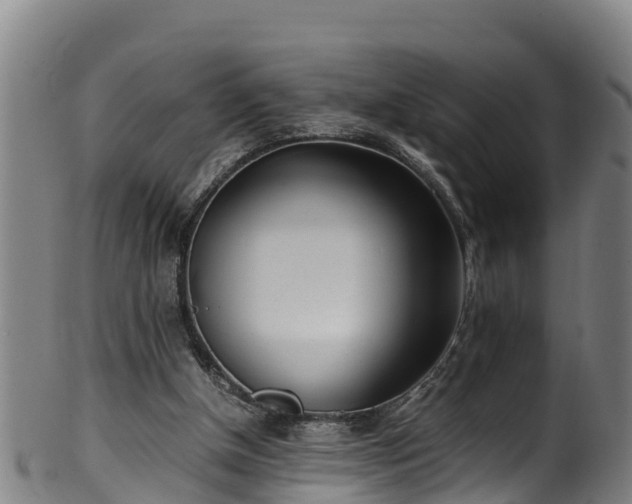 X0000100230154200806061417