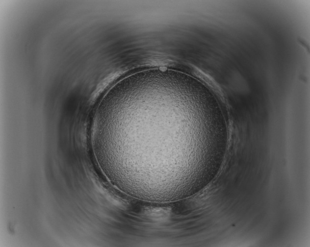 X0000100230155200806061417