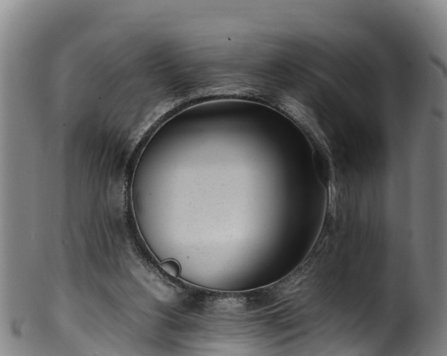 X0000100230156200806061417