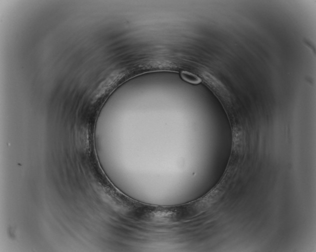 X0000100230158200806061417