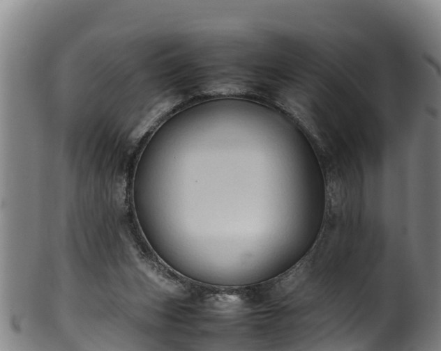 X0000100230159200806061417