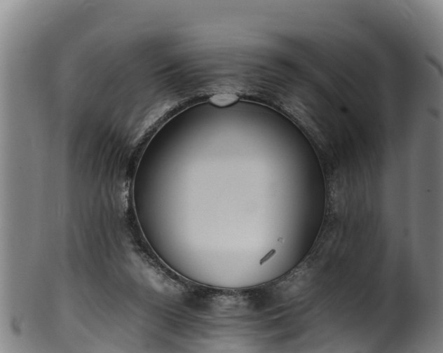 X0000100230160200806061417