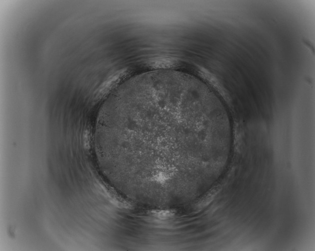 X0000100230161200806061417