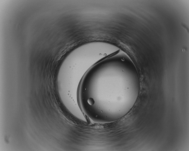 X0000100230162200806061418