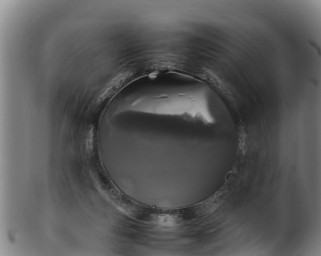 X0000100230163200806061418