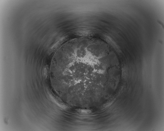 X0000100230165200806061418