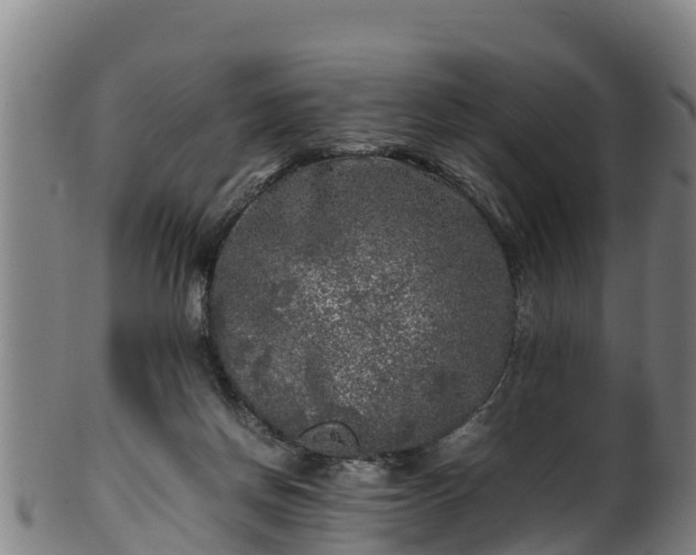 X0000100230166200806061418