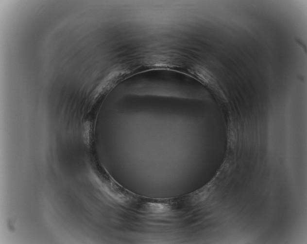 X0000100230167200806061418