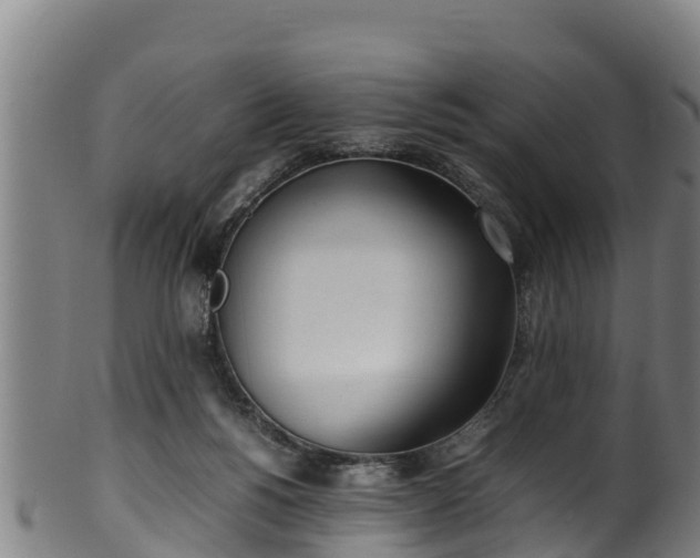 X0000100230168200806061418