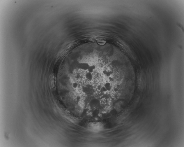 X0000100230169200806061418