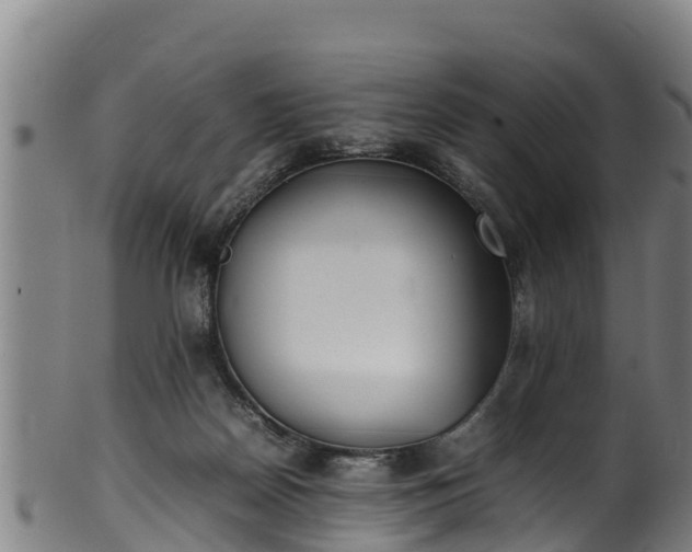 X0000100230170200806061418