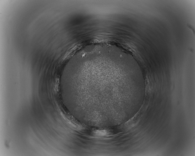 X0000100230171200806061418