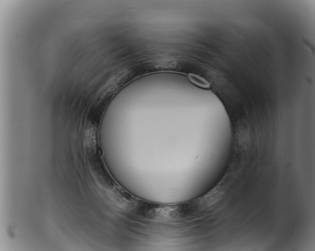 X0000100230172200806061418