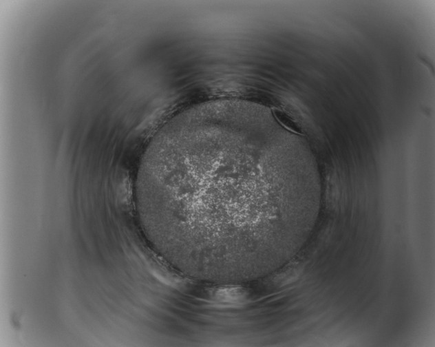 X0000100230173200806061418