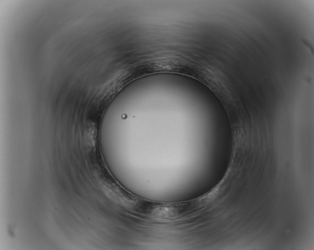 X0000100230174200806061418