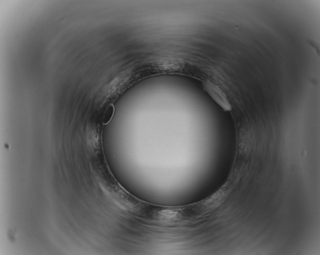 X0000100230176200806061418