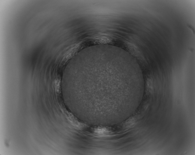 X0000100230177200806061418