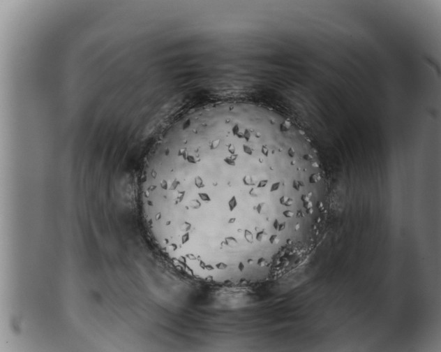 X0000100230179200806061418