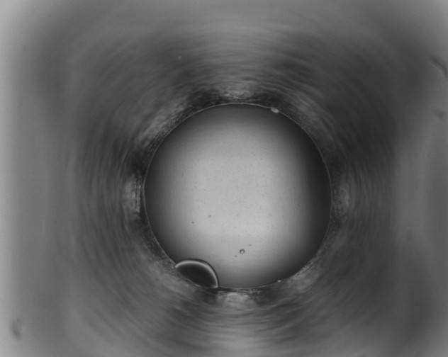 X0000100230180200806061418