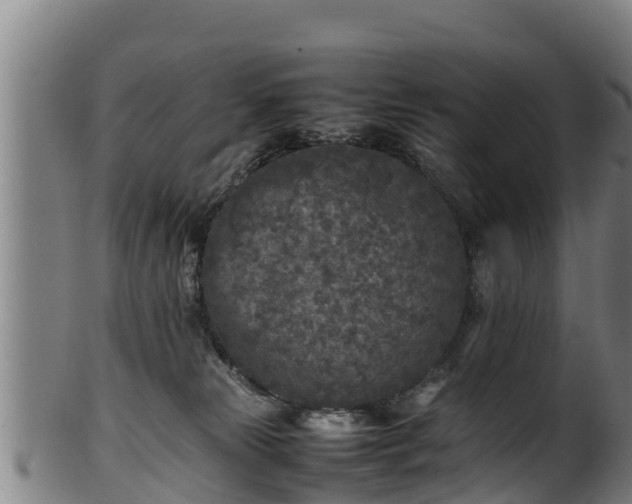 X0000100230181200806061418