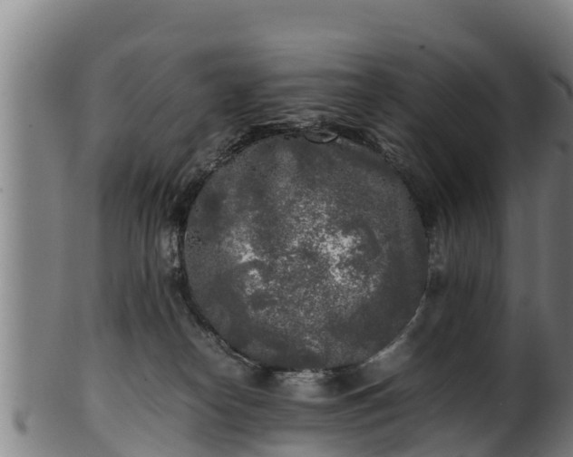 X0000100230182200806061418