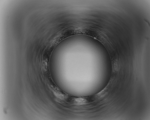 X0000100230183200806061418