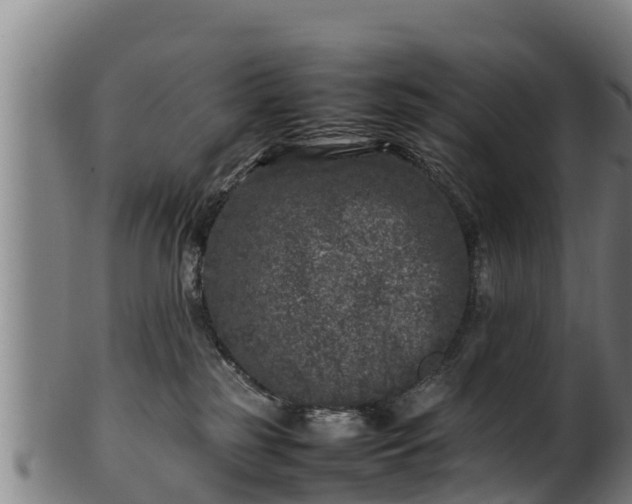 X0000100230185200806061418