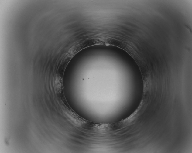 X0000100230186200806061418