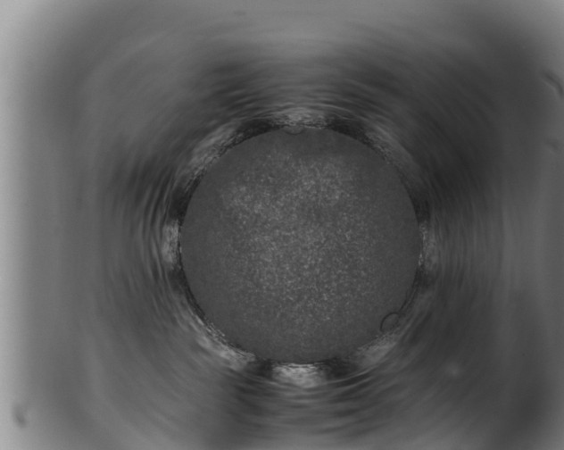 X0000100230189200806061418